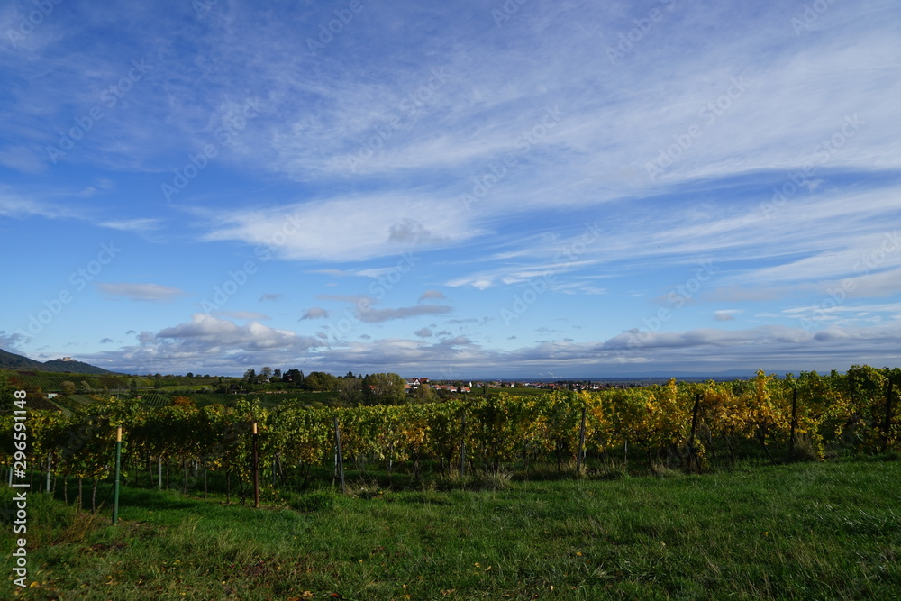 Sonnige Panoramalandschaft von den Weinbergen in Rheinland-Pfalz