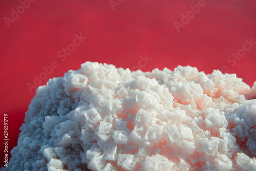 Salt mining. Salty pink lake with crystals of salt. Extremely salty pink lake, colored by microalgae with crystalline salt depositions in Torrevieja, Spain photo