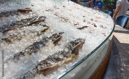 Fresh frozen sturgeon fish lying in ice on a counter in a public place.