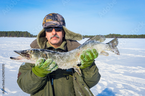 man of Caucasian appearance with a beard holds a large fish pike trophy. Winter fishing winter sport