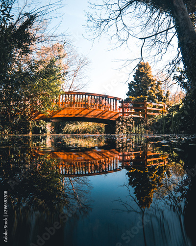 Photography Malahide castle bridge.
