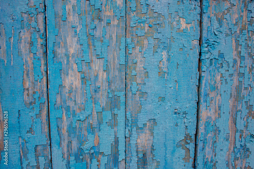 Background from an old wooden door painted in blue. Texture of peeling paint on the boards