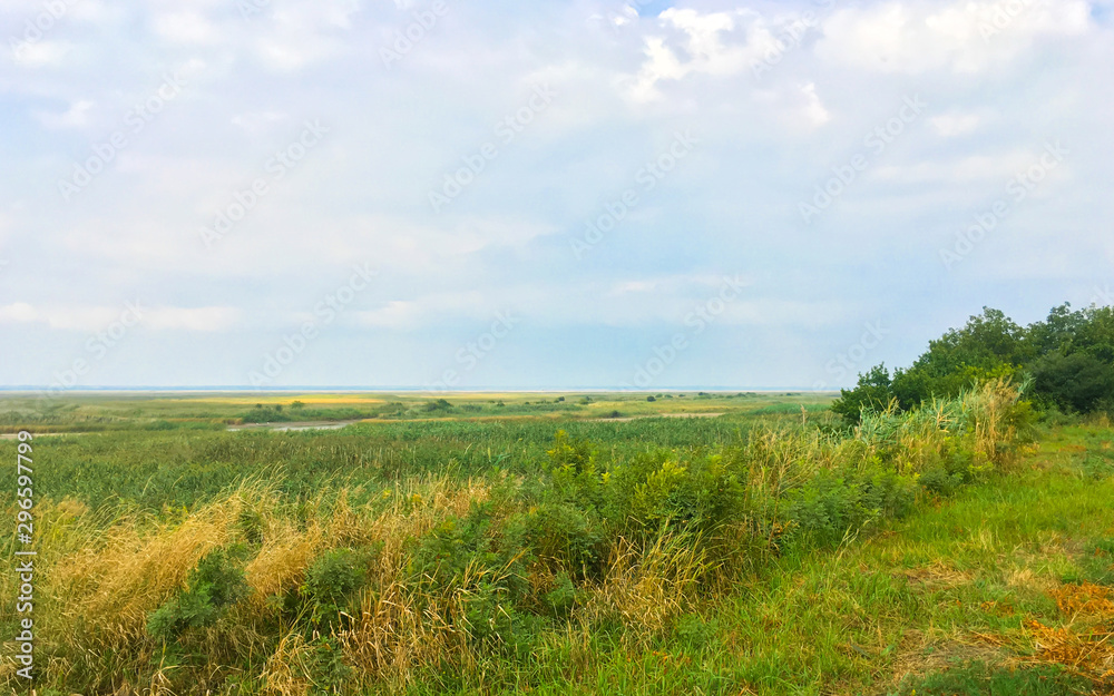 Autumn field of green and yellow grass. Landscape.