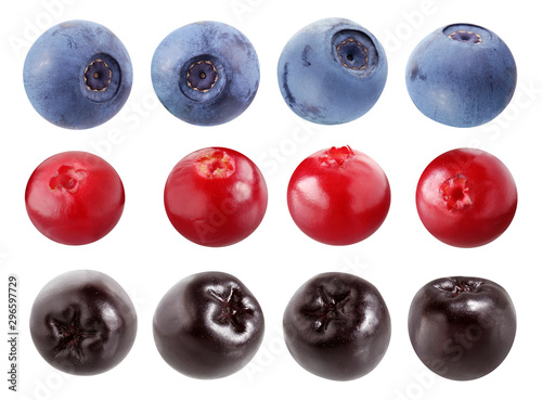 blueberry, chokeberry and cranberry isolated on white photo