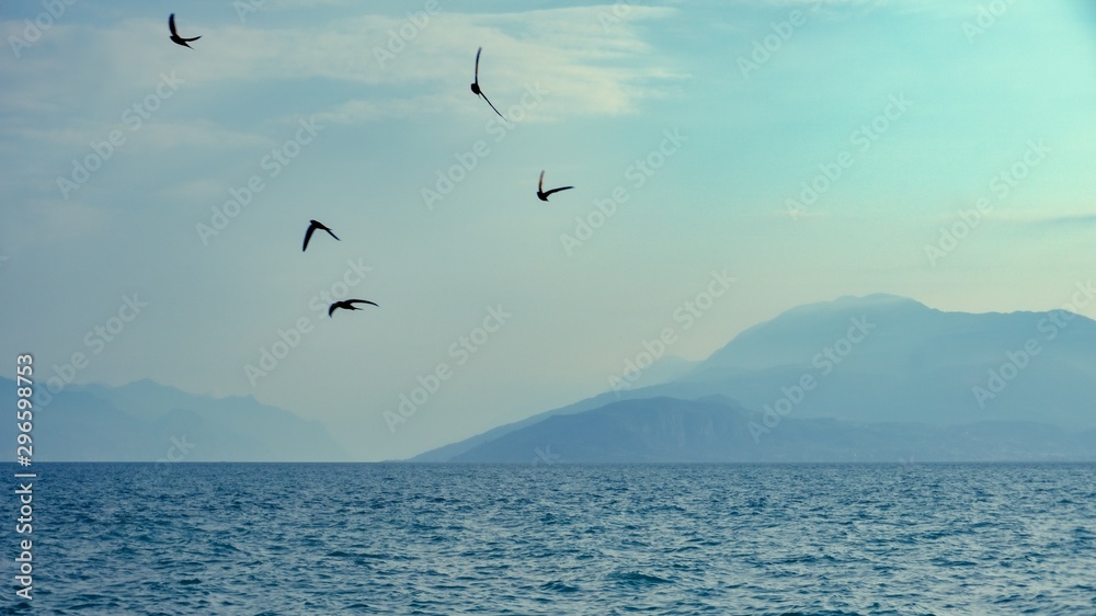 View over Lago di Garda on mountains with birds