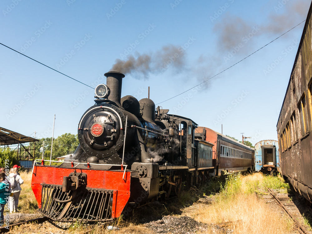 Obraz premium Pociąg turystyczny Valdiviano, który kursuje z Valdivii do Antilhue z północno-brytyjską lokomotywą typu 57 z 1913 roku. Region Los Rios w południowym Chile.