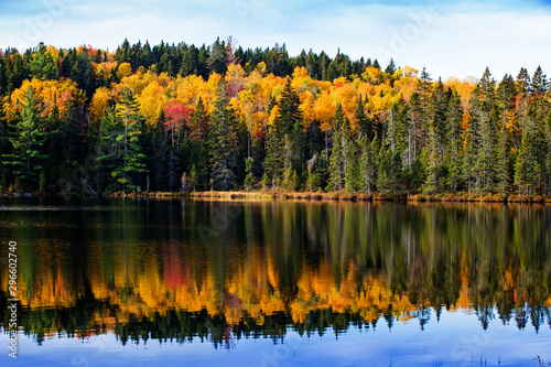 Beautiful fall reflection in mauricie national park