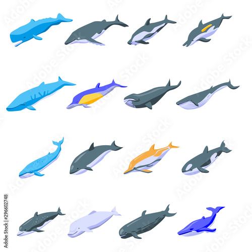 Whale icons set. Isometric set of whale vector icons for web design isolated on white background