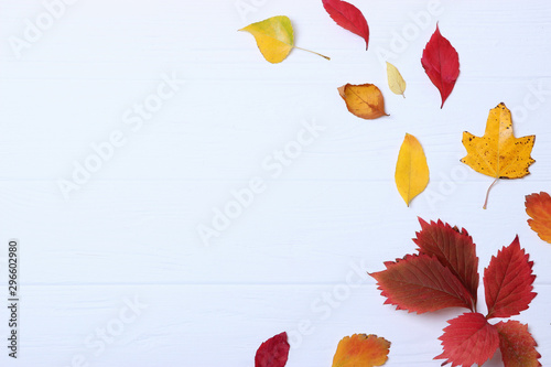 autumn composition, autumn leaves