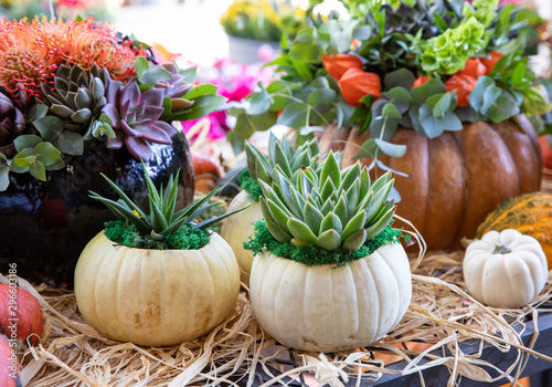 Decorated pumpkins with succulents, flowers and leaves at the greek garden shop in October.