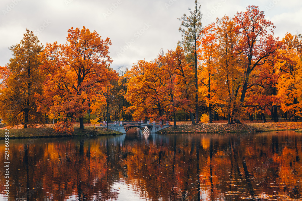 Naklejka premium Fall in the park. Red, yellow and green autumn trees near small lake or pond