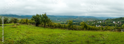 Country landscape with apple and plum orchard. © Roberto Sorin