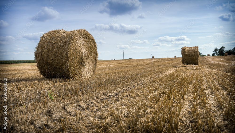 Round straw bales in an infinite field