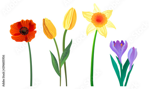 Wallpaper Mural Flower Blossom Vector Illustrated Set Isolated On White Background Torontodigital.ca