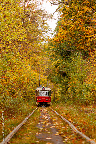 Autumn forest through which an old tram rides (Ukraine)