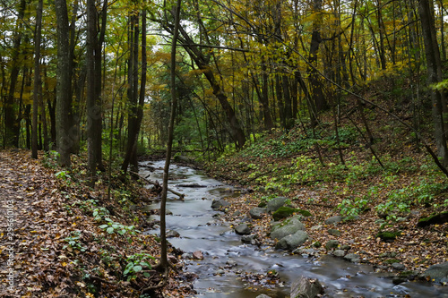 Stream passes through autumn forest