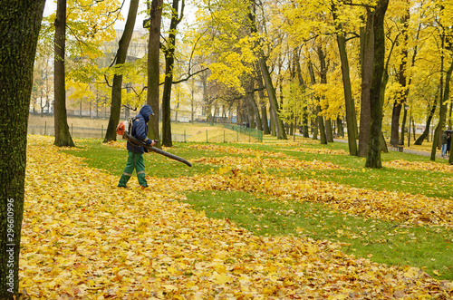 Obraz na płótnie Worker cleaning company. Collects fallen leaves. w salonie