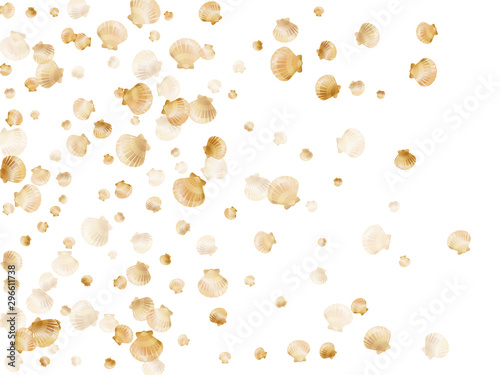 Gold bivalve pearl shell, marine mollusk isolated