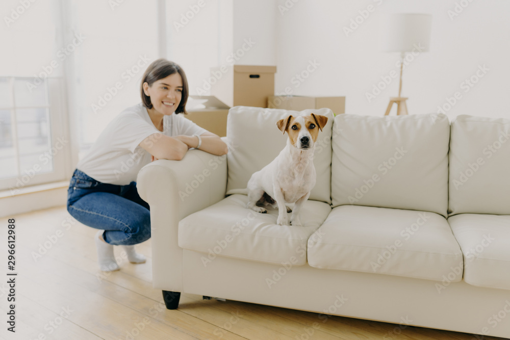 Happy brunette female in casual wear, leans on side of white sofa, pedigree domestic dog poses on couch in empty apartment near woman owner, unpacked boxes in background. People and home concept Happy brunette female in casual wear, leans on side of white sofa, pedigree domestic dog poses on couch in empty apartment near woman owner, unpacked boxes in background. People and home concept