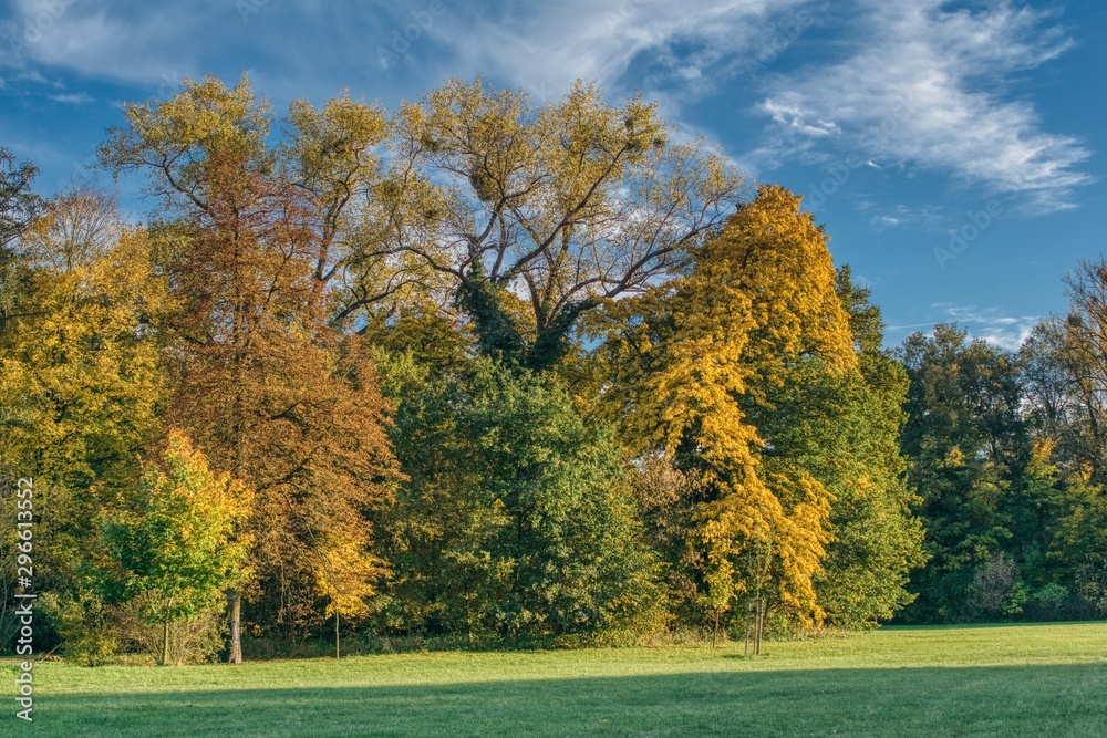 colorful autumn landscape on a sunny day, big trees with colorful leaves, meadow in the shade and in the sun