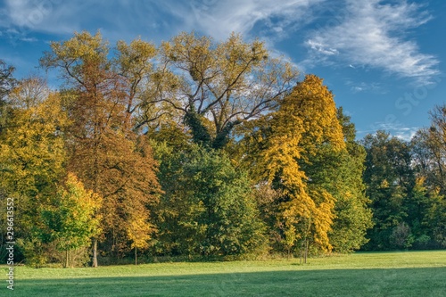 Obraz na płótnie colorful autumn landscape on a sunny day, big trees with colorful leaves, meadow in the shade and in the sun w salonie