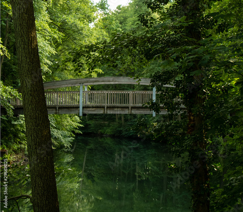 Lonely bridge in the forest.