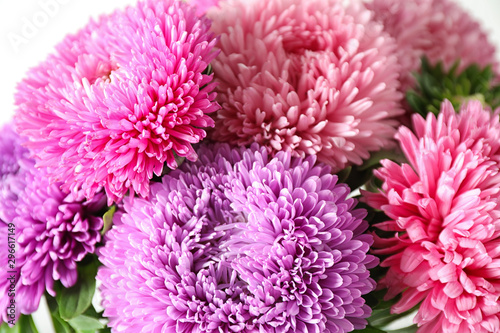 Beautiful bouquet of aster flowers  closeup view
