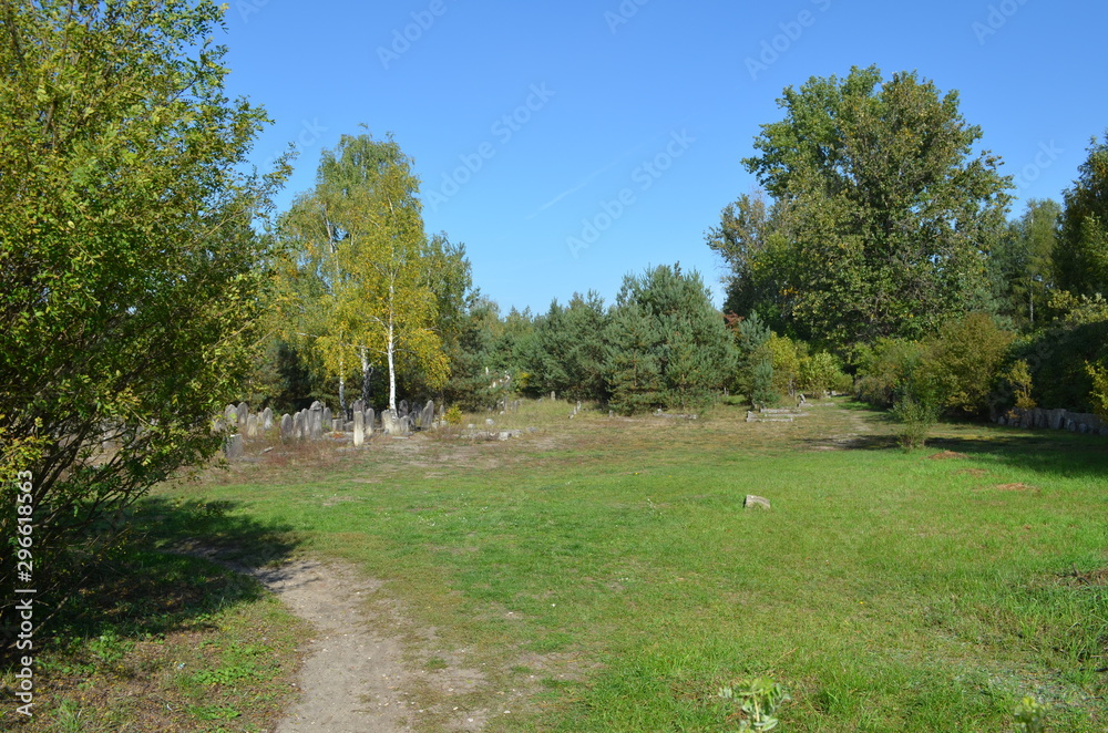 Widok na stary cmentarz żydowski w Żarkach, Polska Widok na stary cmentarz żydowski w Żarkach, Polska