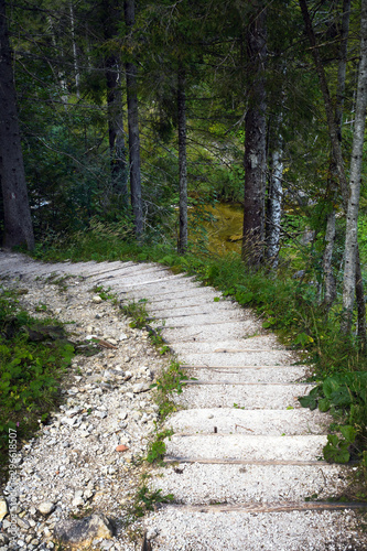 Steep steps into the forest by Lake Gosau. Forest path. Gosauzen Region, Austria.