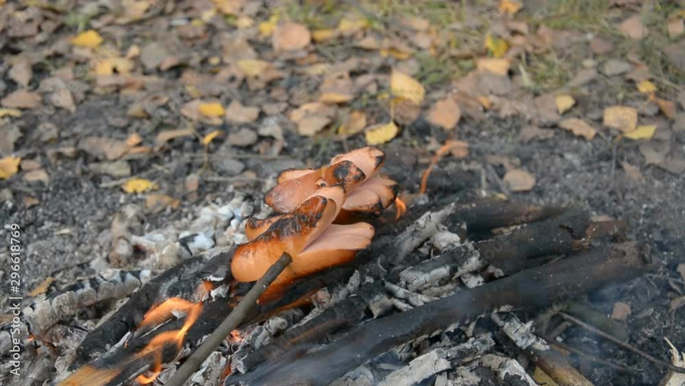 Delicious and fragrant sausage roasted on the campfire in the summer forest Delicious and fragrant sausage roasted on the campfire in the summer forest