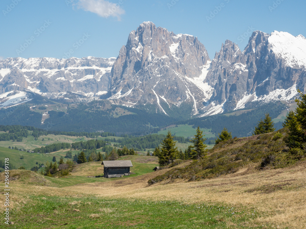 2019 june, alpe di siusi beautiful and panoramic place in  Italy
