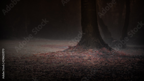 Linden Tree trunk in the early morning Fog. Nikon D500 16-80ED@80mm f/8 1/13s ISO100. Red-Orange Hue obtained in LIghtroom.  photo