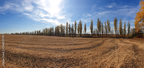 Autumn field after harvest. Landscapes of Ukraine.