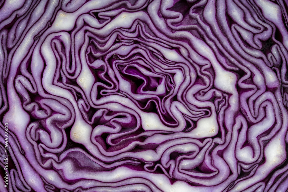 Background of the blue cabbage in the cut. Close up, top view. Texture raw purple cabbage Background of the blue cabbage in the cut. Close up, top view. Texture raw purple cabbage