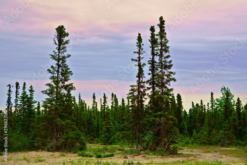 Pastel-colored sky on a summer evening over a northern boreal forest near the town of Happy Valley-Goose Bay, province of Newfoundland and Labrador, Canada. 