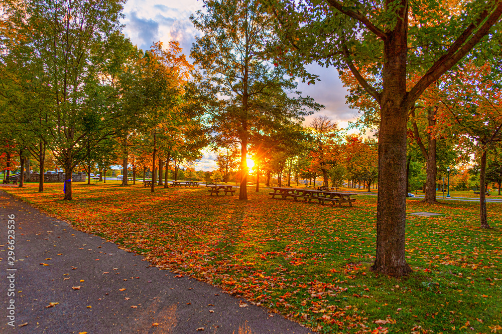 Naklejka premium Evening At The Park