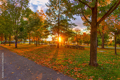 Evening At The Park
