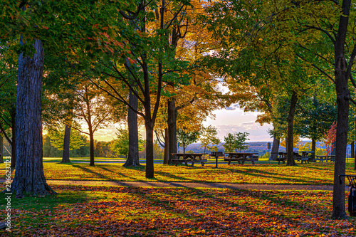 Evening At The Park