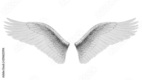 Fototapeta Naklejka Na Ścianę i Meble -  White wings isolated on white background, 3D rendering