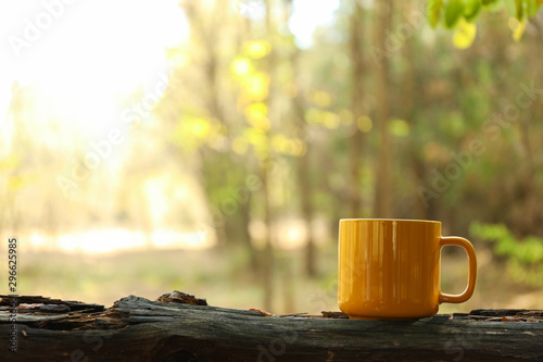 Yellow cup on trunk. Beauti...