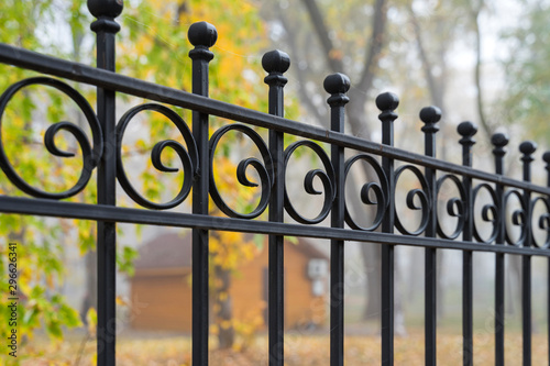 Image of a Beautiful decorative cast iron wrought fence with artistic forging. Metal guardrail close up.