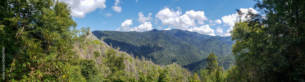 Great Smoky Moutains panorama from Chimney Tops trail