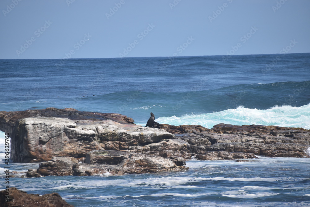 Fototapeta premium sea and rocks