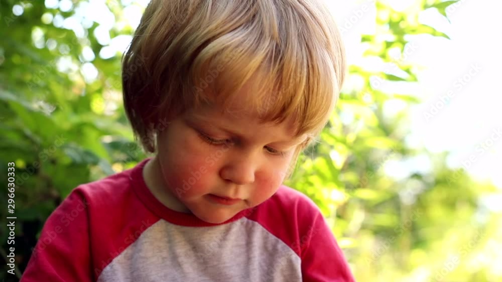 Little adorable boy gathering eating raspberry in summer sunny green garden with beautiful sunlight on background. Children nutrition, detox diet, health care concept. Happy family childhood. Kid Food Little adorable boy gathering eating raspberry in summer sunny green garden with beautiful sunlight on background. Children nutrition, detox diet, health care concept. Happy family childhood. Kid Food