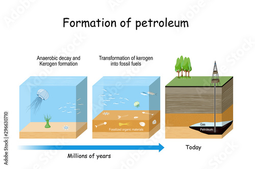 Formation of petroleum. Oil and gas formation.
