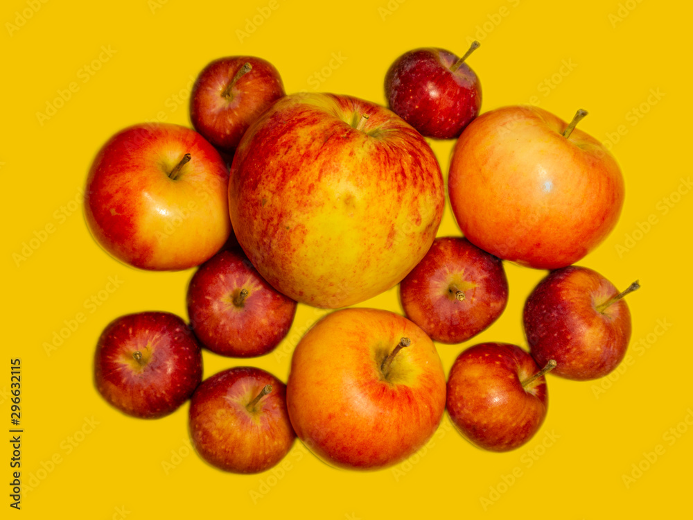 Autumn harvest of apples. Different varieties of apples. Autumn harvest of apples. Different varieties of apples.