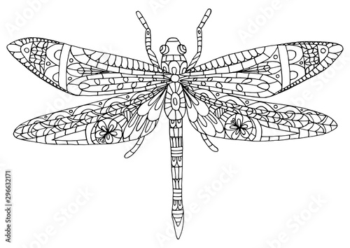 Dragonfly. Coloring book for kids and adults. Coloring page, zen art, zentangle photo