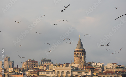 Galata Tower and Seagulls, Istanbul, Turkey