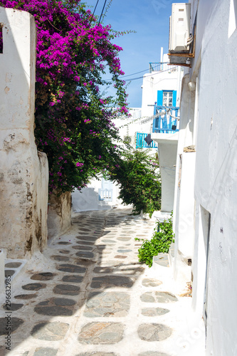 Fototapeta Naklejka Na Ścianę i Meble -  Narrow streets and blue windows with white buildings in Mykonos Greece
