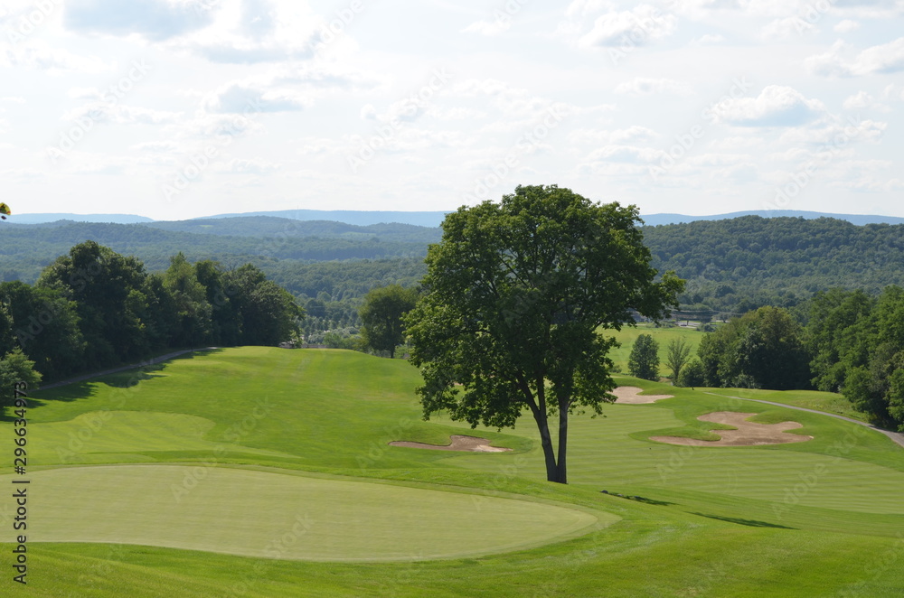 Fototapeta premium landscape with trees and blue sky